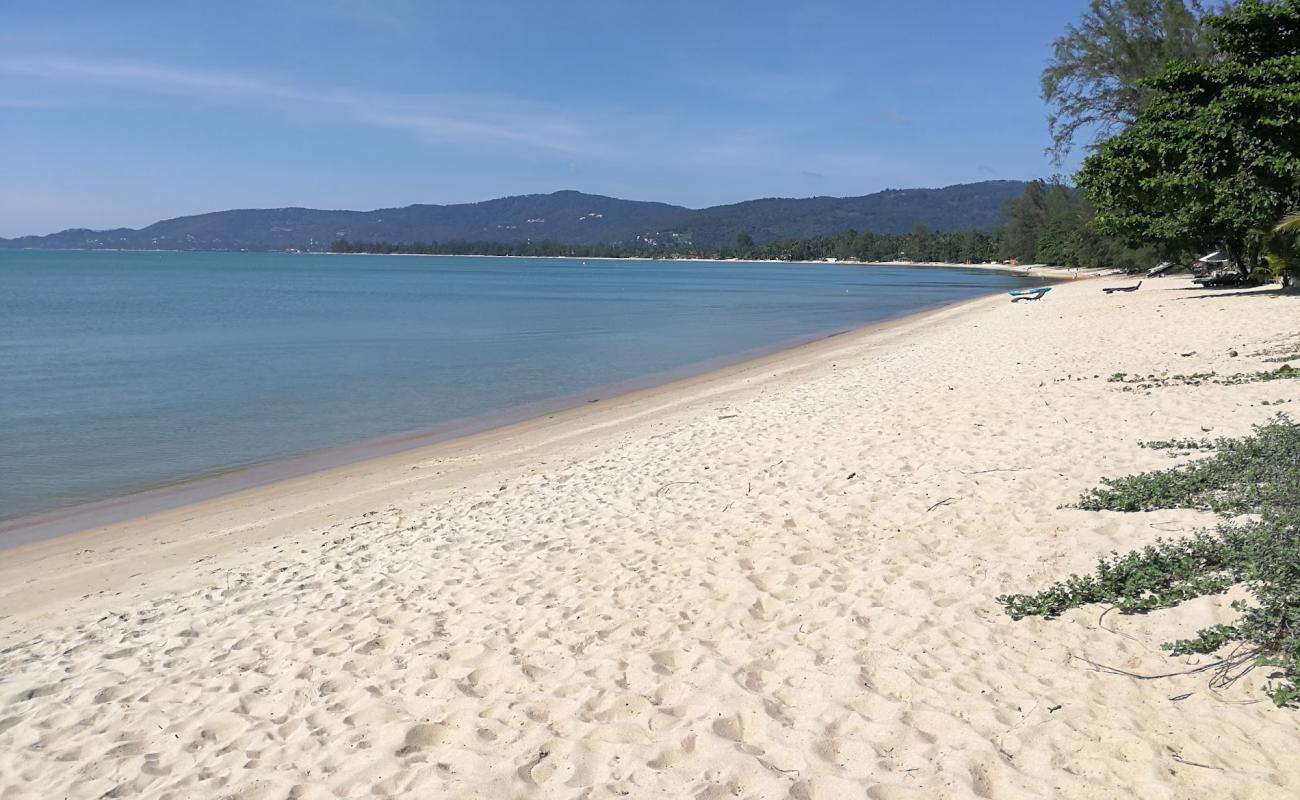 Lipa Noi Beach'in fotoğrafı parlak kum yüzey ile