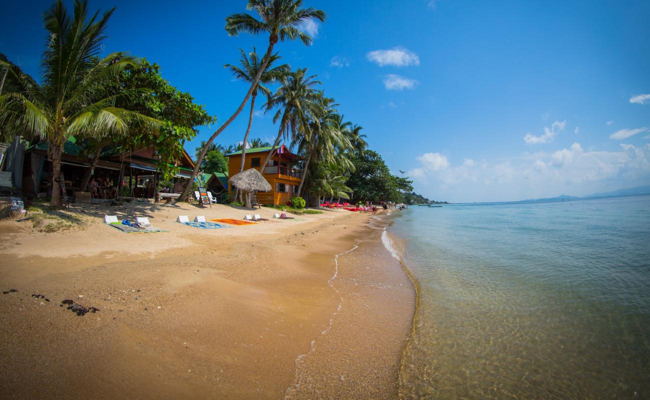 Sun beach'in fotoğrafı açık bej kum yüzey ile