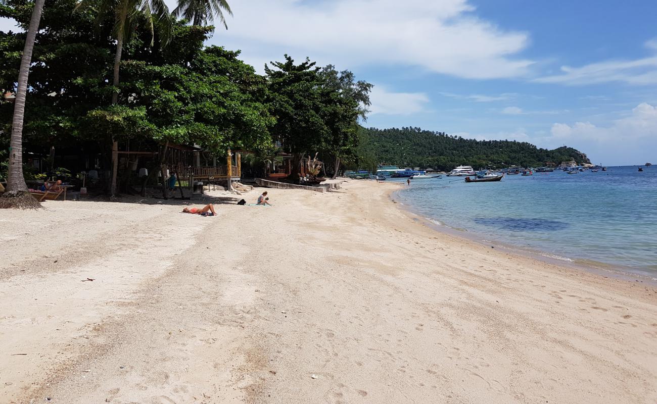 Mae Haad Beach'in fotoğrafı açık bej kum yüzey ile