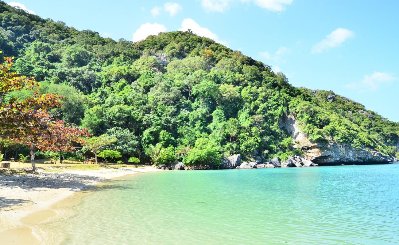 Ko Wua Ta Lap Beach I'in fotoğrafı açık bej kum yüzey ile