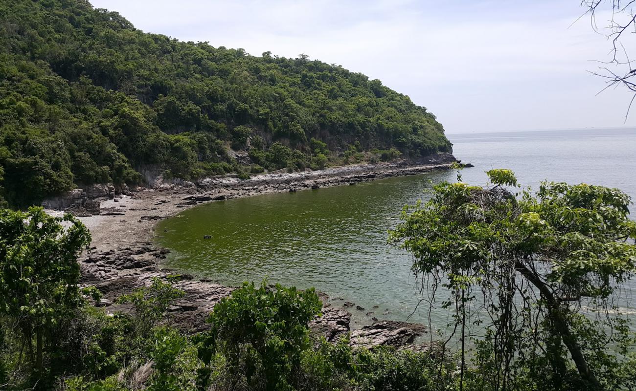 Kaya Sira Beach'in fotoğrafı gri çakıl taşı yüzey ile