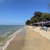 Dongtan Beach