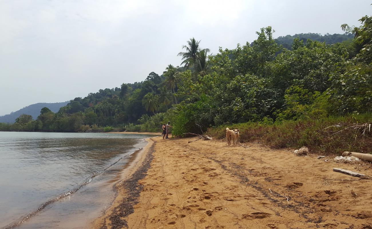 Exotic Beach'in fotoğrafı kahverengi kum yüzey ile