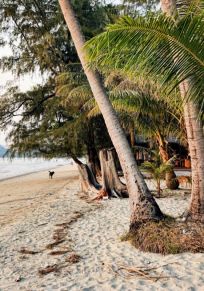 Baan Klong Prao