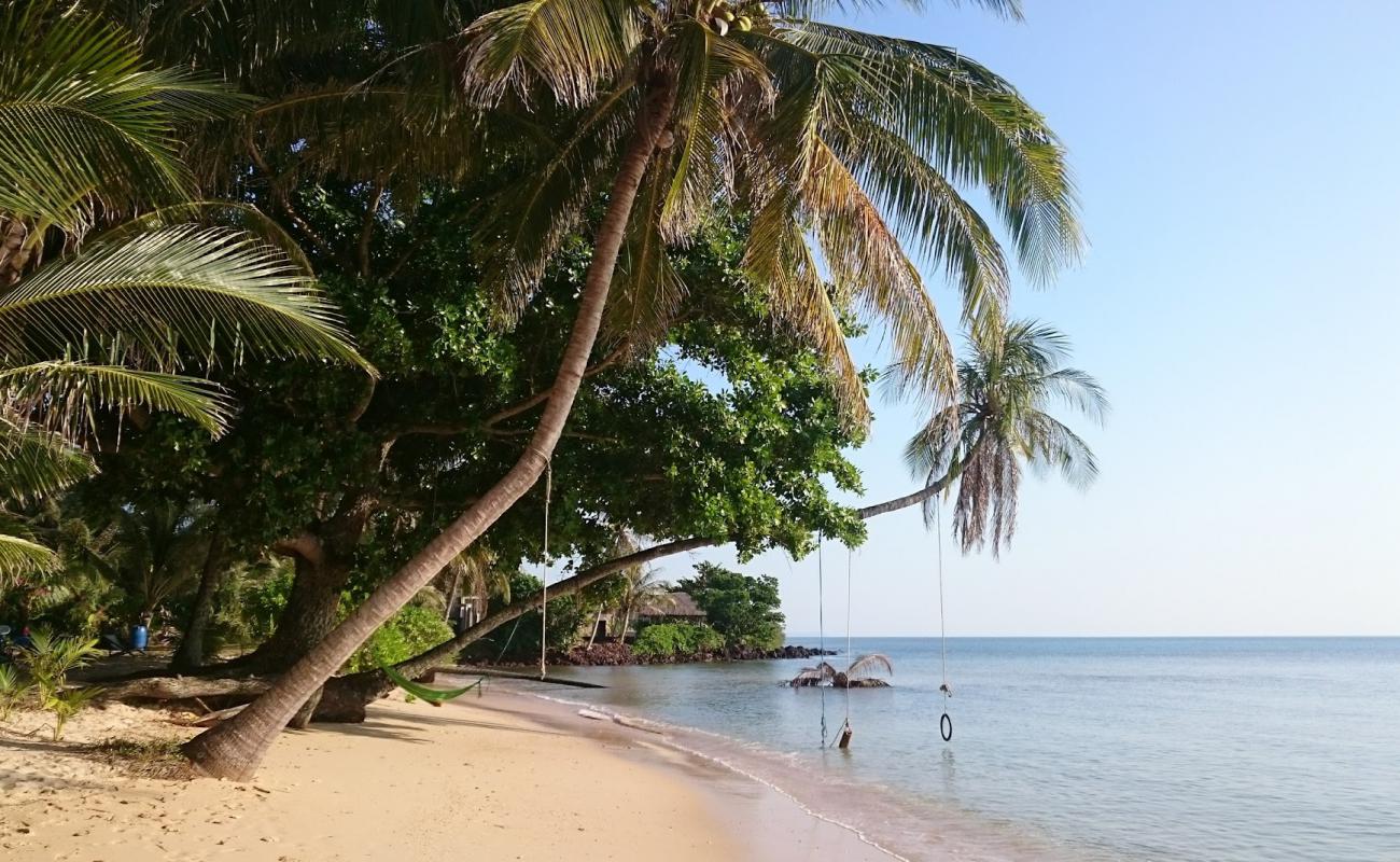 Palm Beach'in fotoğrafı parlak ince kum yüzey ile