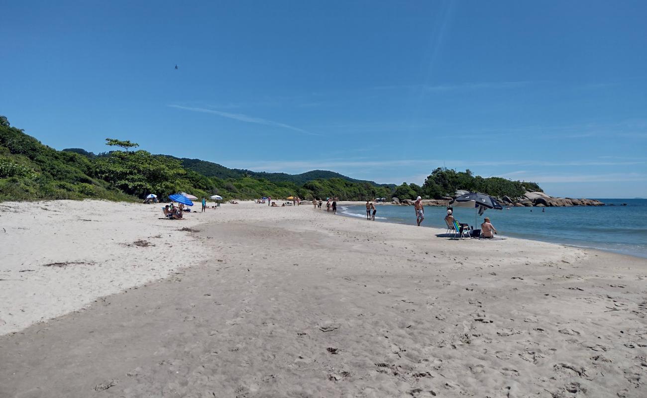 Praia das Bananeiras'in fotoğrafı açık bej kum yüzey ile