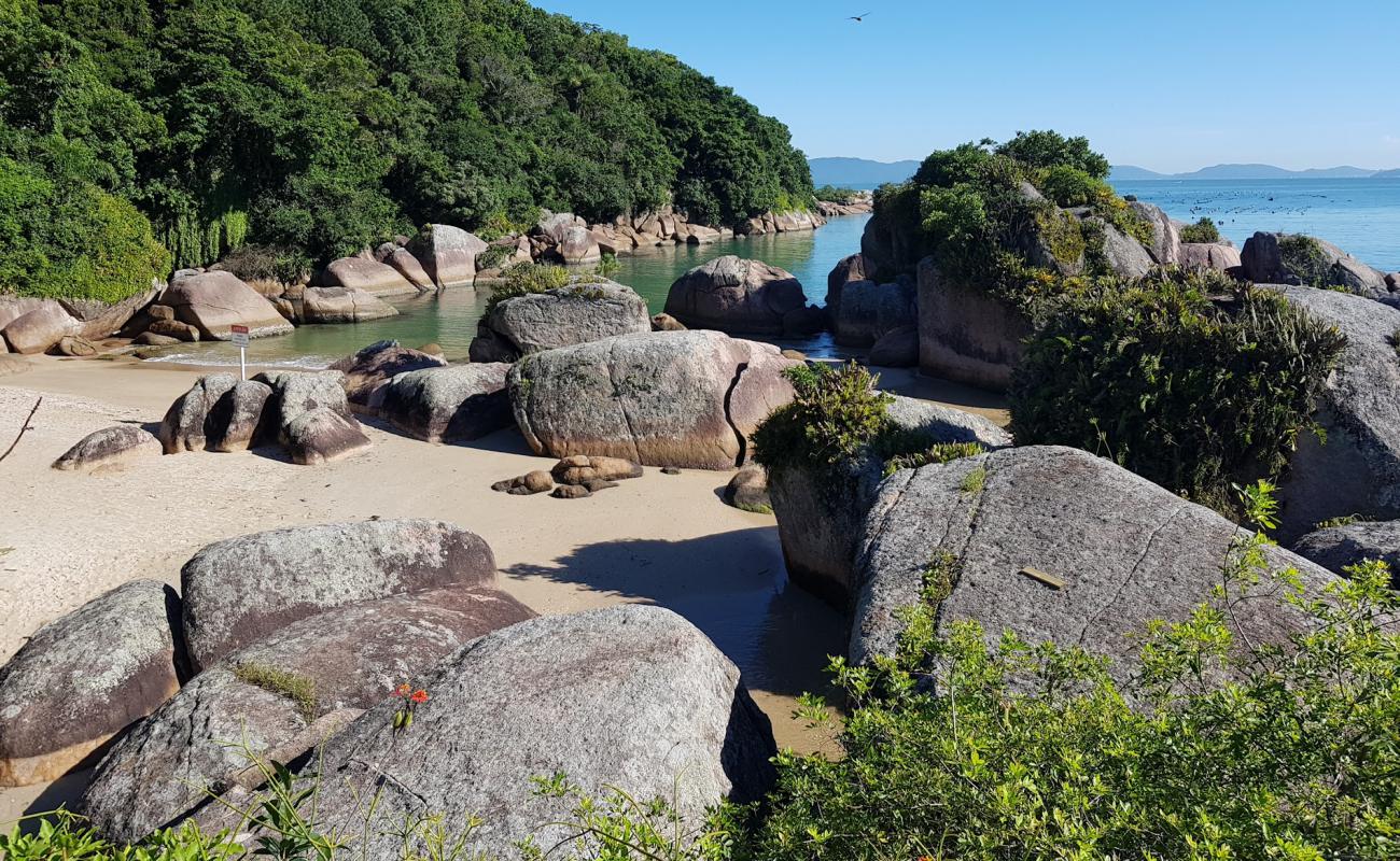Prainha das Pedras'in fotoğrafı açık bej kum yüzey ile