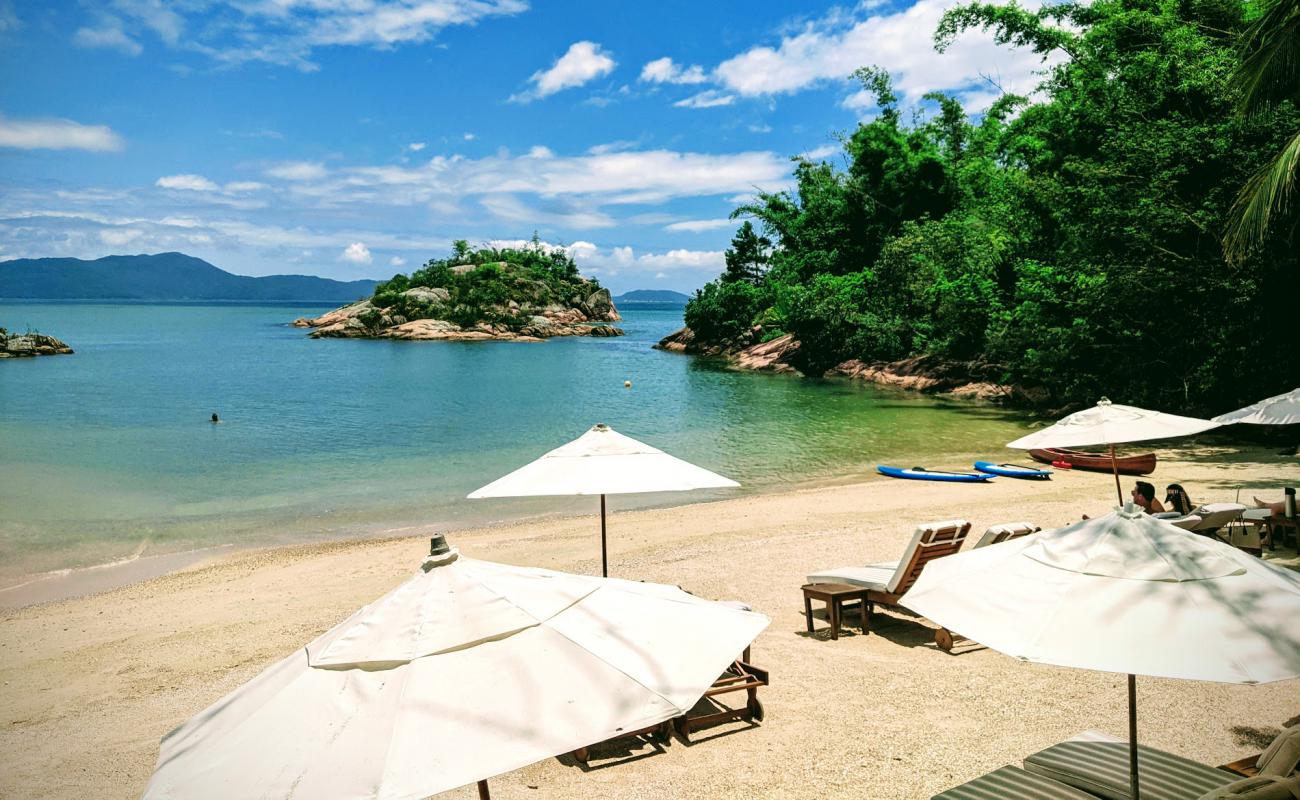 Praia da Ponta dos Ganchos'in fotoğrafı açık bej kum yüzey ile