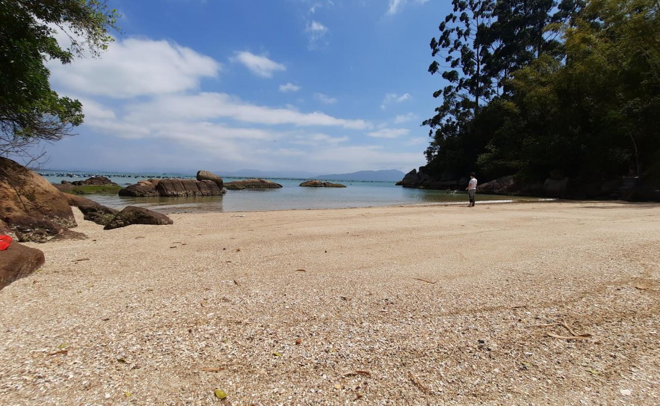 Praia do Paiole'in fotoğrafı bej kabuklu kum yüzey ile