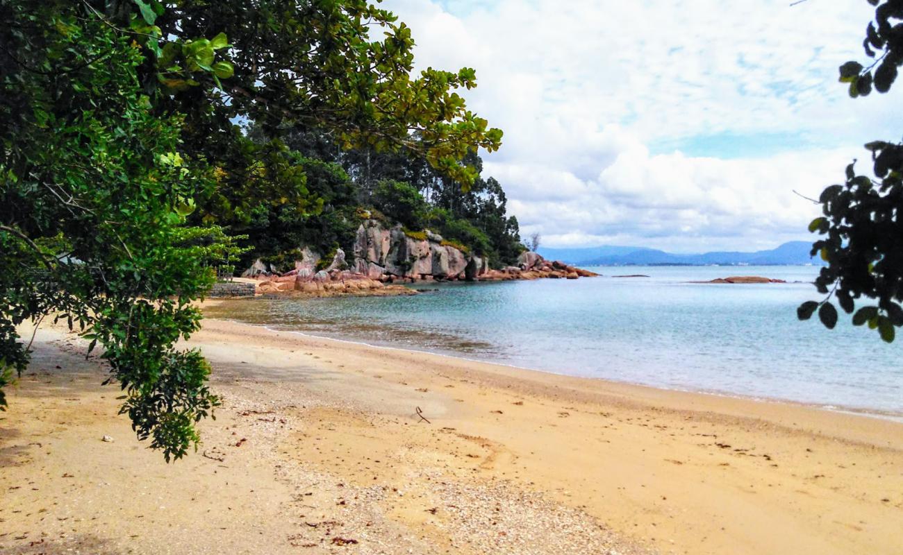 Mirante Calheiros Beach'in fotoğrafı açık bej kum yüzey ile