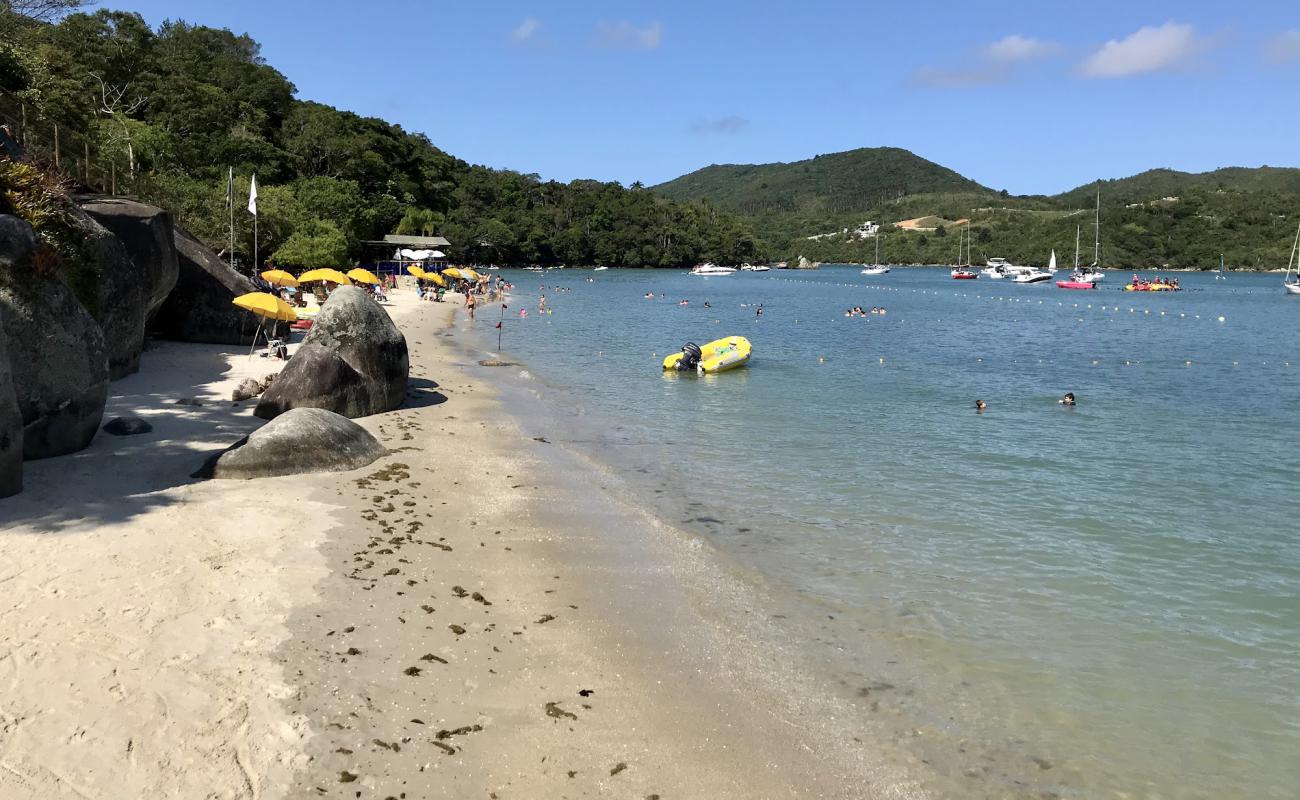 Praia da Ilha de Porto Belo'in fotoğrafı açık bej kum yüzey ile