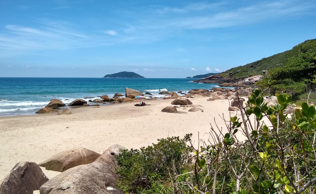Praia do Rio das Pacas'in fotoğrafı açık bej kum yüzey ile