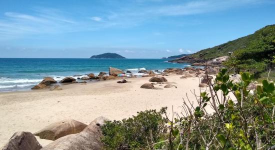 Praia do Rio das Pacas