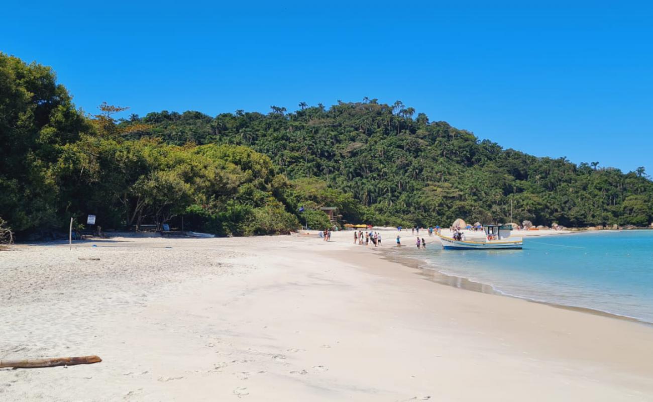 Praia da Ilha do Campeche'in fotoğrafı açık bej kum yüzey ile