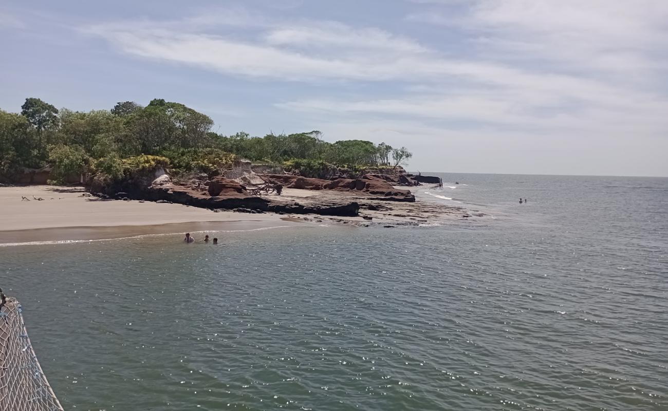 Dolphin's Bay Beach'in fotoğrafı açık bej kum yüzey ile