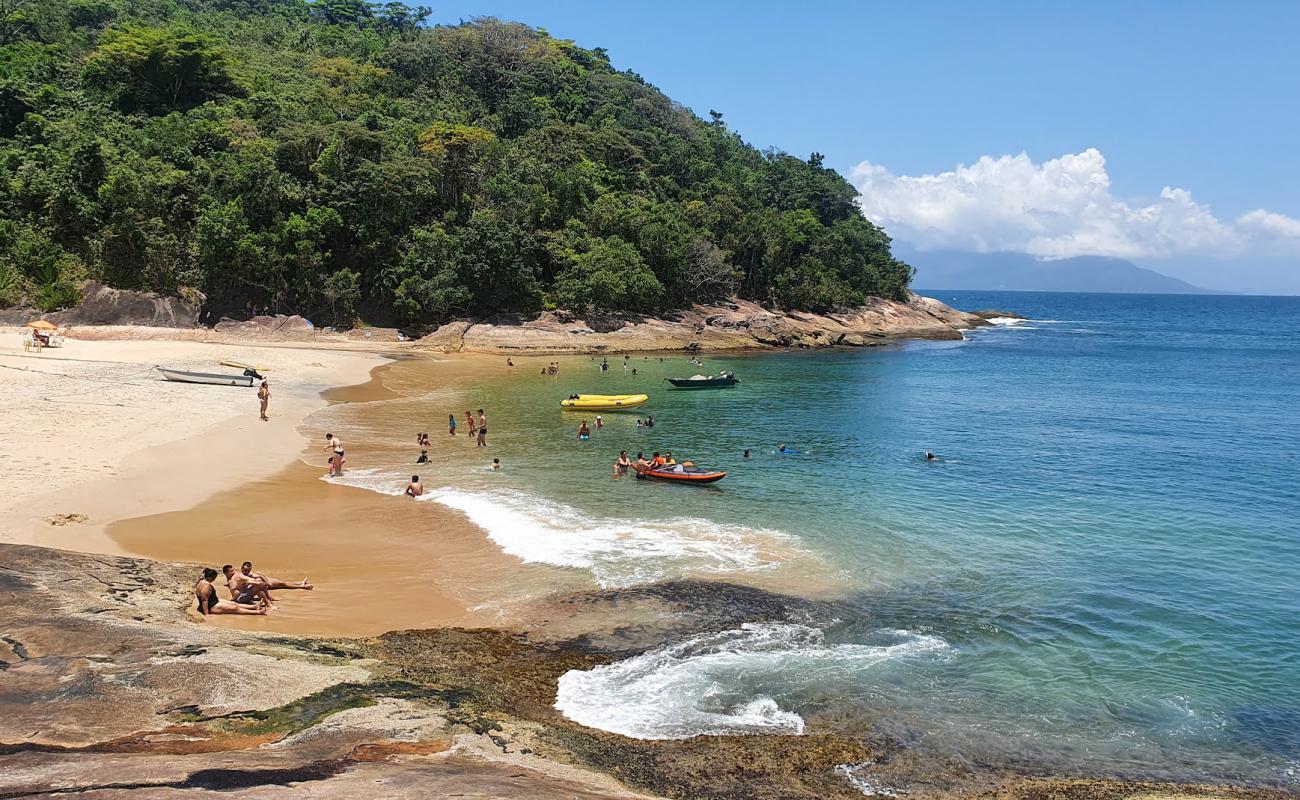 Praia Sul da ilha do Tamandua'in fotoğrafı açık bej kum yüzey ile