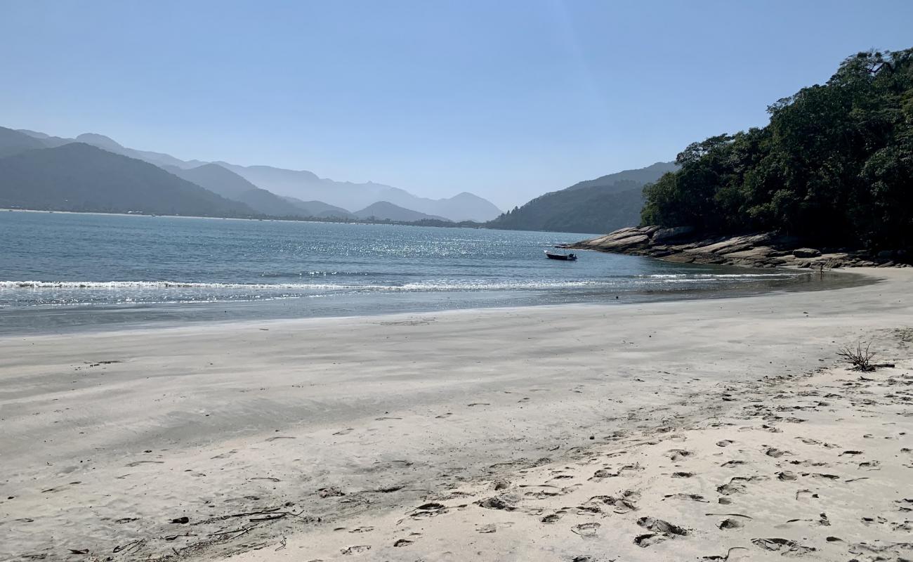 Praia Grande do Tamandua'in fotoğrafı i̇nce bej kum yüzey ile