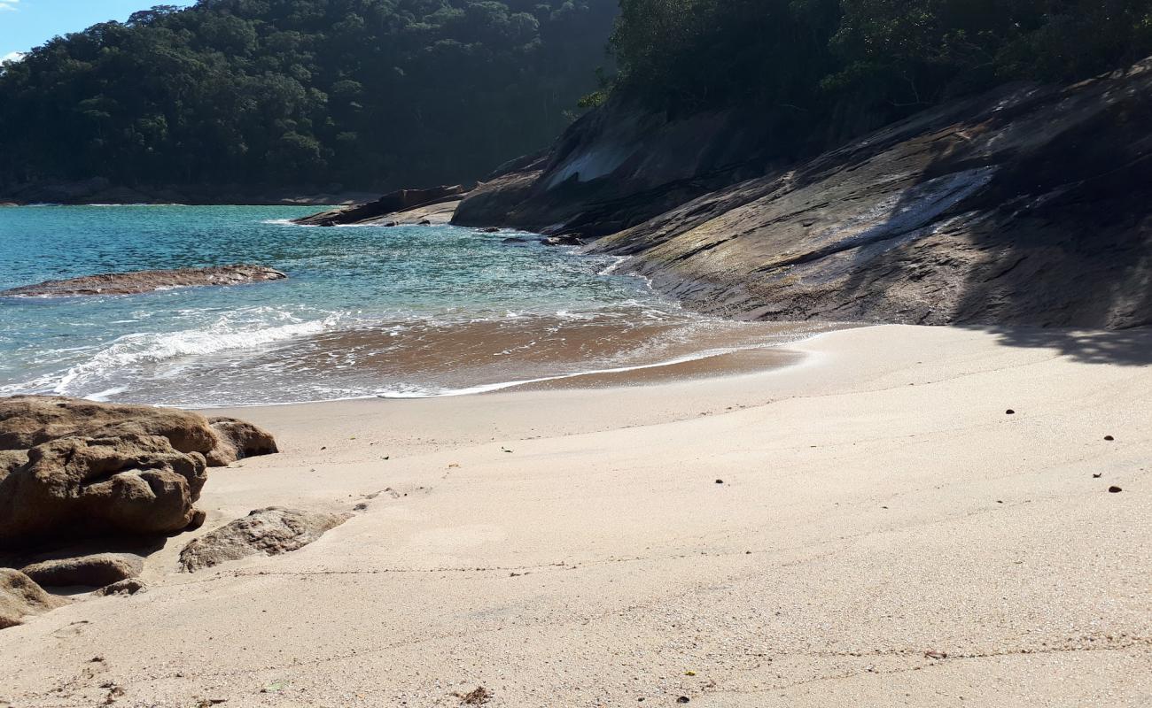 Praia da Palmira'in fotoğrafı açık bej kum yüzey ile