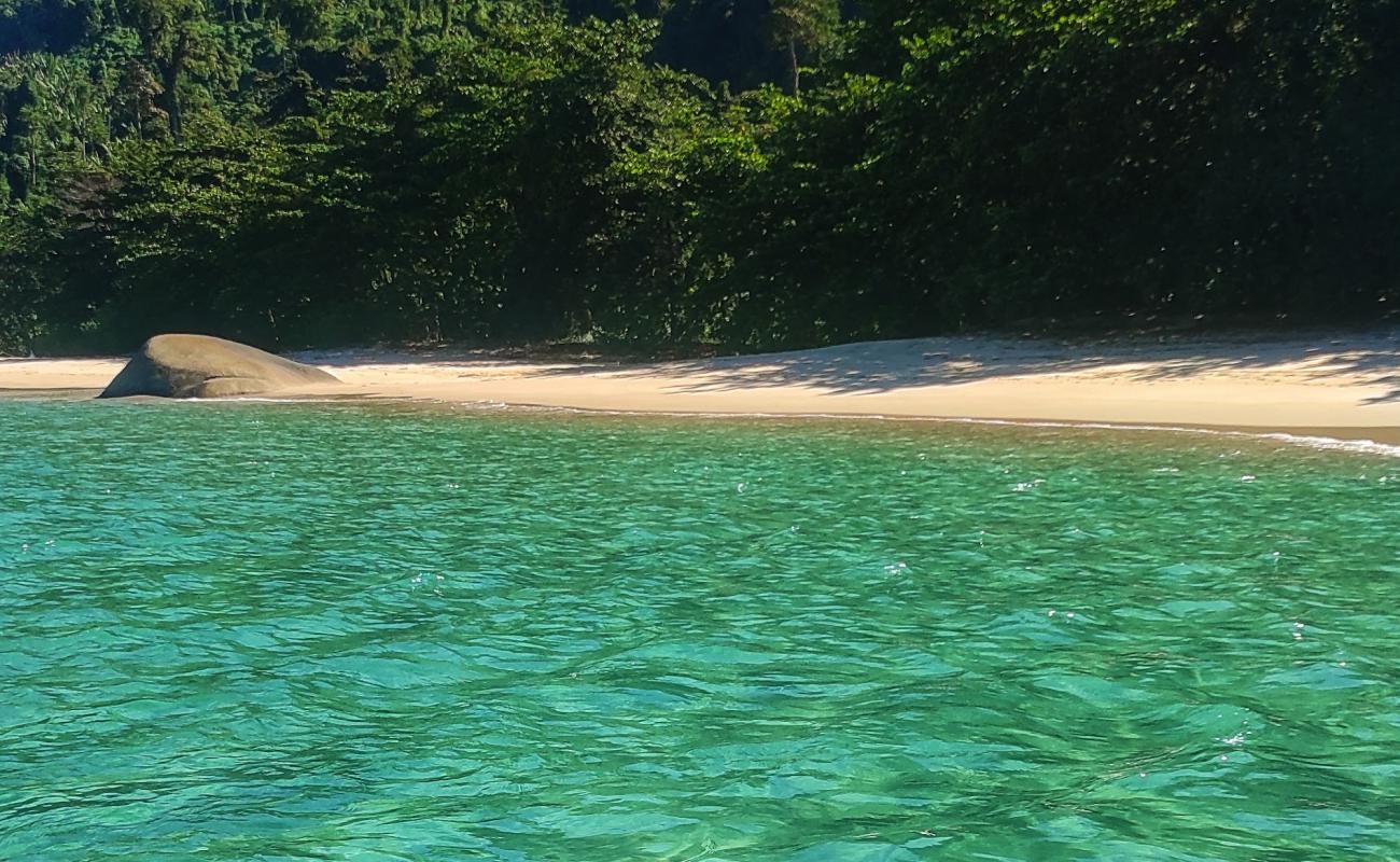 Fora do Mamede Beach'in fotoğrafı açık bej kum yüzey ile