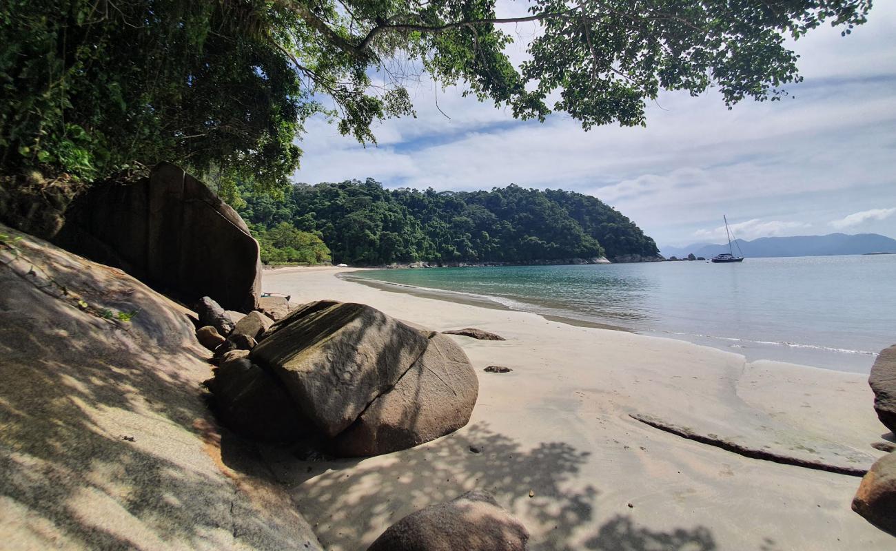 Praia do Pingo d'Agua'in fotoğrafı açık bej kum yüzey ile