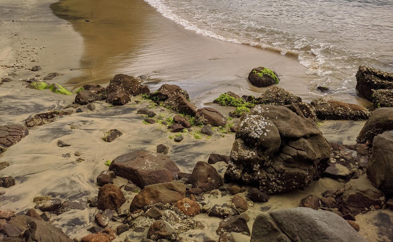 Prainha do Pinheiro'in fotoğrafı açık bej kum yüzey ile