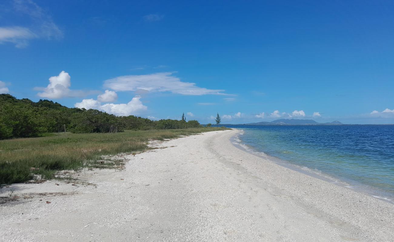Praia Ancora da Baleia'in fotoğrafı bej kabuklu kum yüzey ile