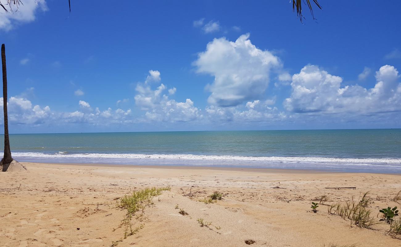 Praia de Barra Velha'in fotoğrafı açık bej kum yüzey ile
