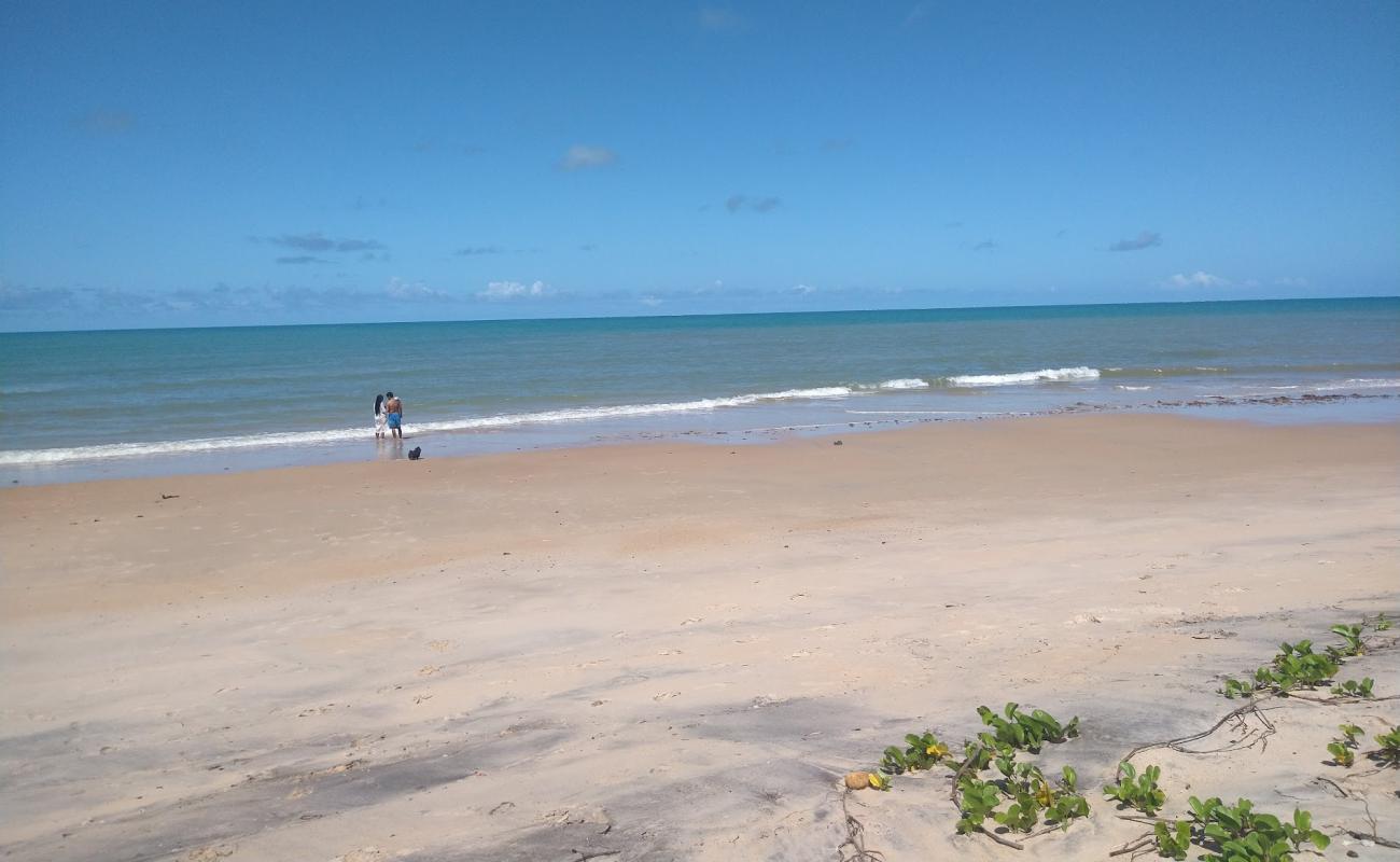 Praia do Veleiro'in fotoğrafı açık bej kum yüzey ile