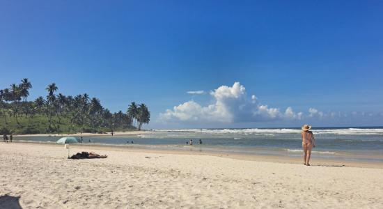 Praia do Cururupe