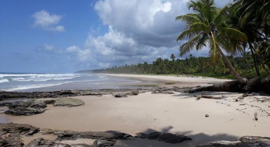 Praia do Patizeiro