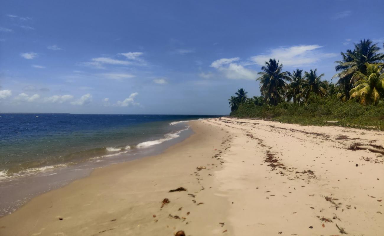 Ilha do Goio Beach'in fotoğrafı i̇nce bej kum yüzey ile