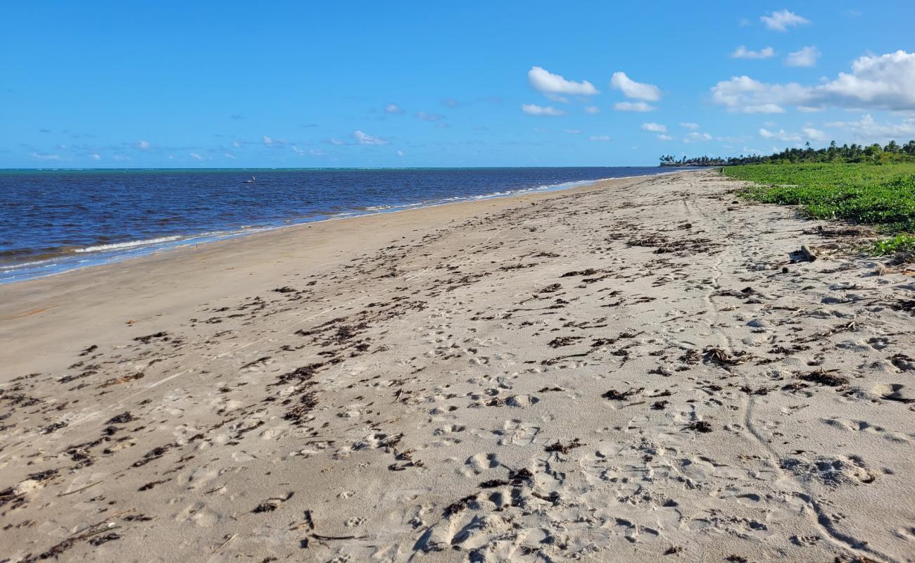 Praia da Barra de Santo Antonio'in fotoğrafı açık bej kum yüzey ile