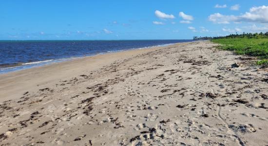 Praia da Barra de Santo Antonio