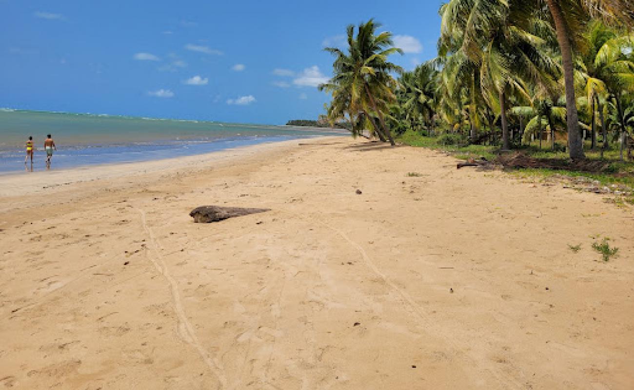 Praia de Bitingui'in fotoğrafı açık bej kum yüzey ile