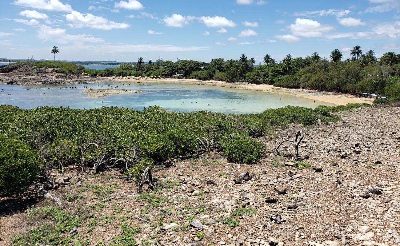 Praia da Ferradura'in fotoğrafı açık bej kum yüzey ile