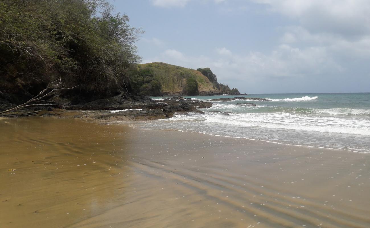 Clarkes Bay beach'in fotoğrafı taşlı kum yüzey ile