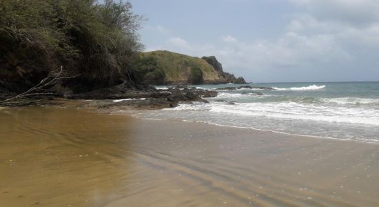 Clarkes Bay beach