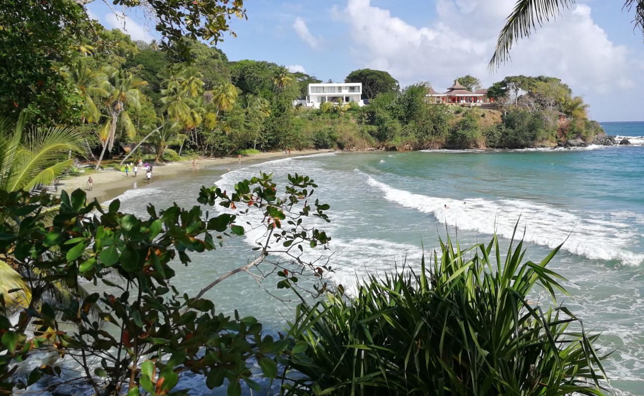 Bacolet beach'in fotoğrafı kahverengi kum yüzey ile
