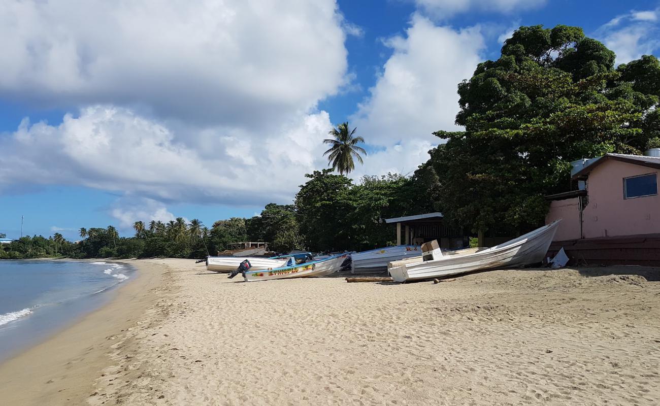Great Courland Bay beach'in fotoğrafı açık bej kum yüzey ile