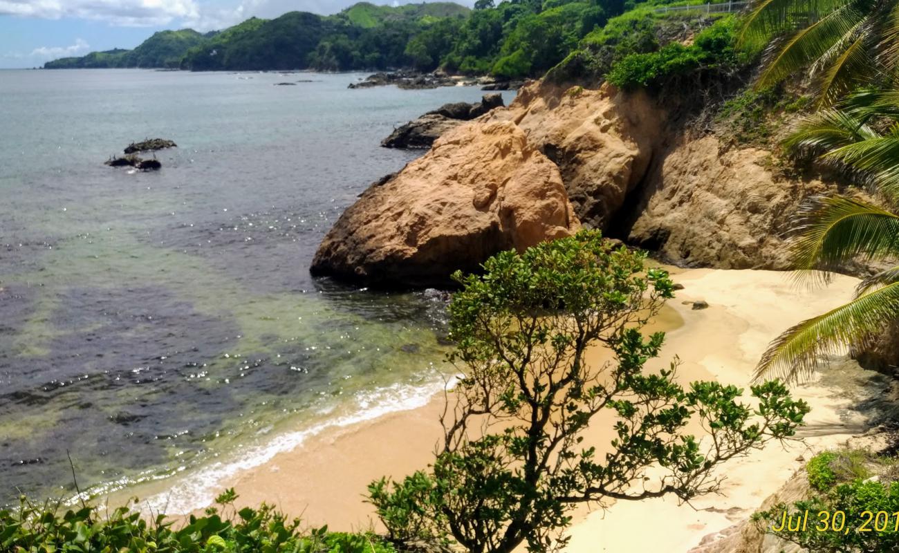 Sandy Bay beach'in fotoğrafı parlak kum yüzey ile