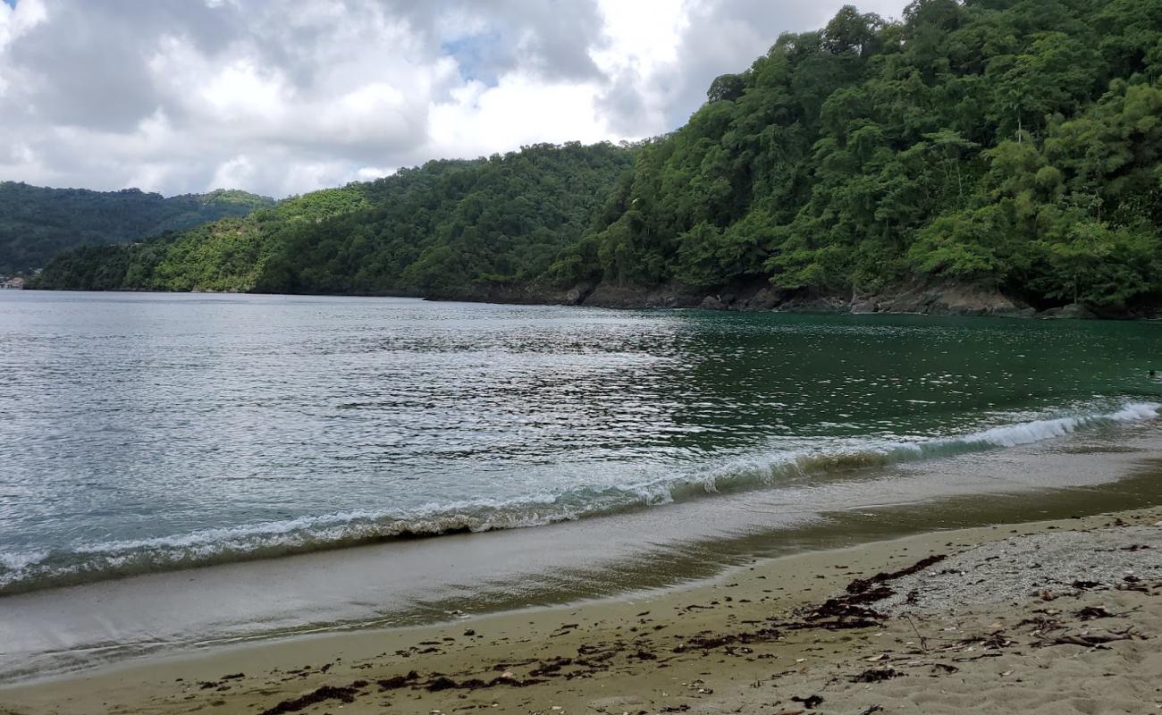 Man O War Bay beach'in fotoğrafı kahverengi kum yüzey ile