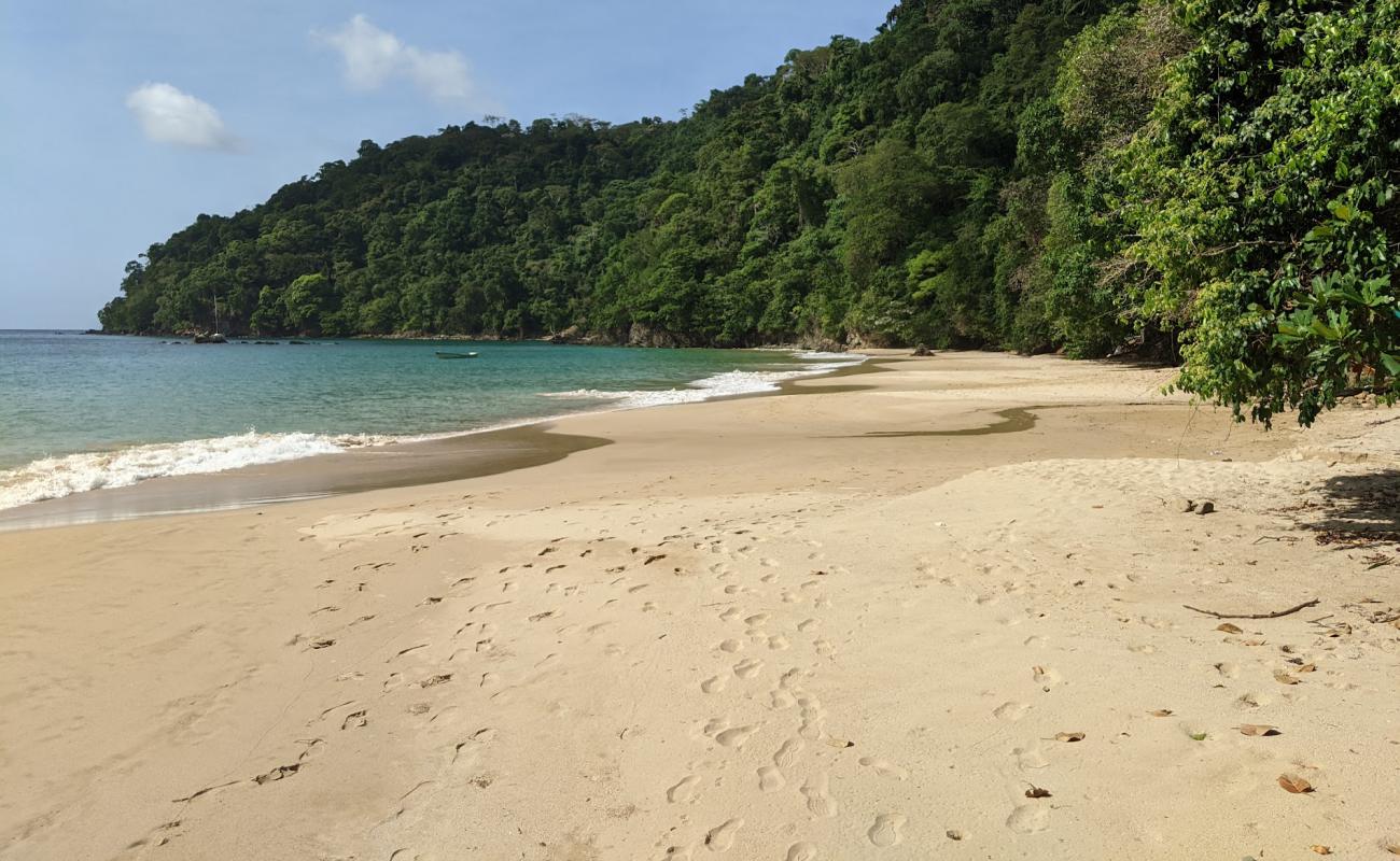 Pirate's Bay beach'in fotoğrafı parlak ince kum yüzey ile