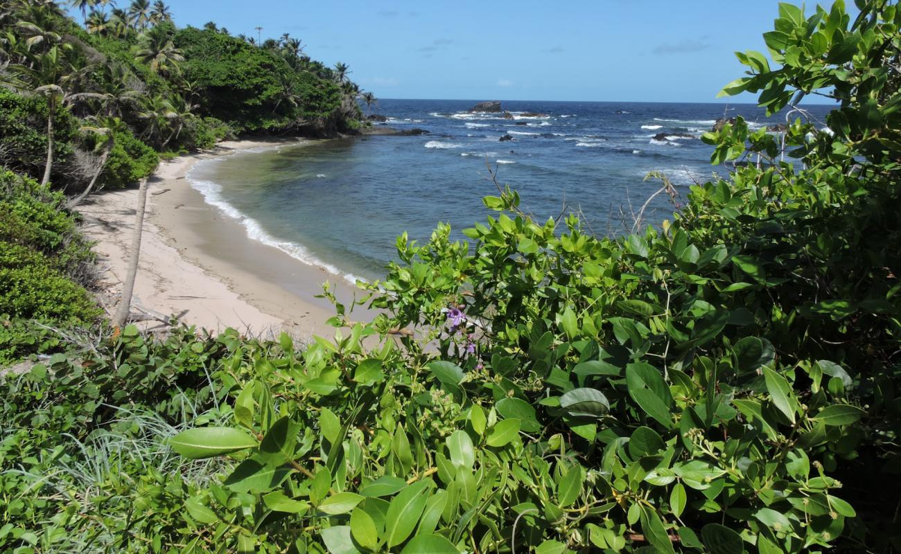 La Foret beach'in fotoğrafı bej kum ve kayalar yüzey ile