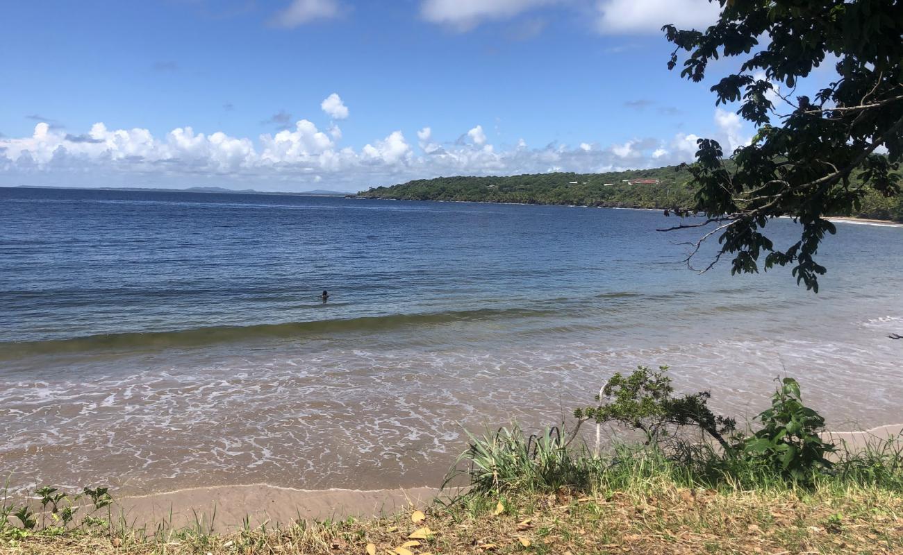 Balandra beach'in fotoğrafı açık bej kum yüzey ile