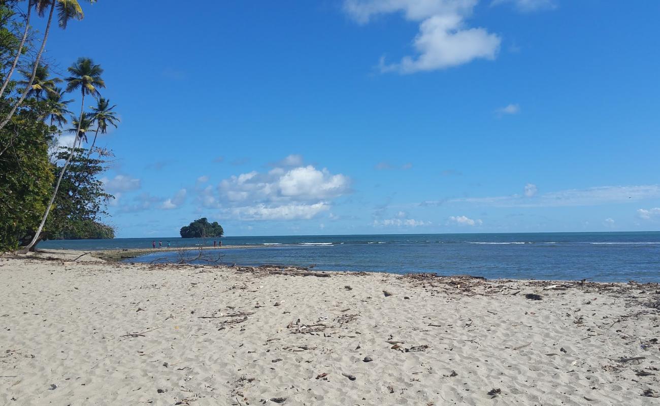 Salybia beach'in fotoğrafı açık bej kum yüzey ile