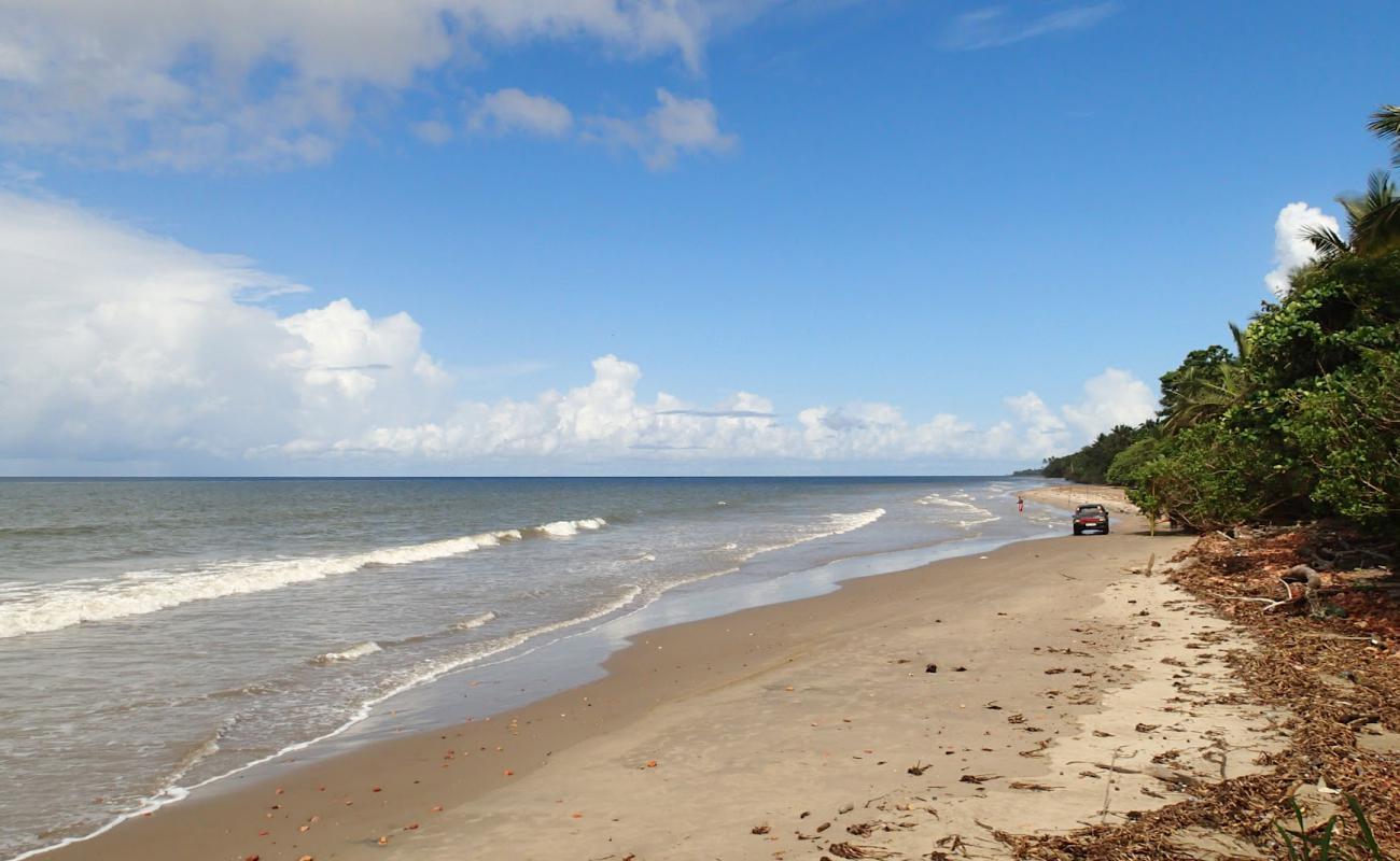 Chatham beach'in fotoğrafı açık bej kum yüzey ile