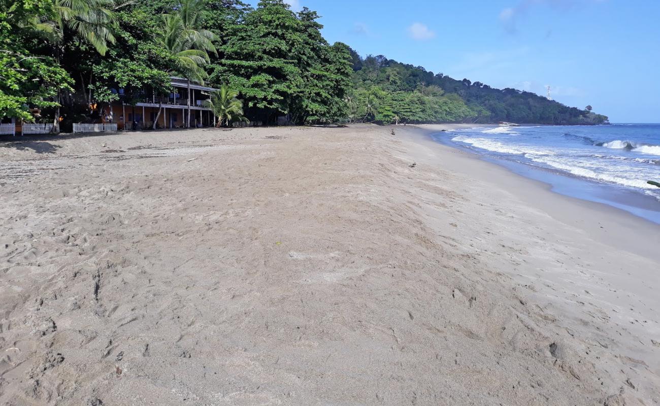 Grand Riviere beach'in fotoğrafı açık bej kum yüzey ile