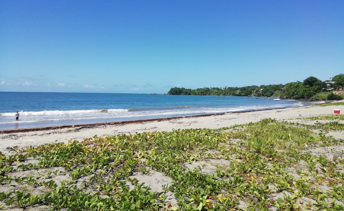 Toco beach'in fotoğrafı parlak kum yüzey ile