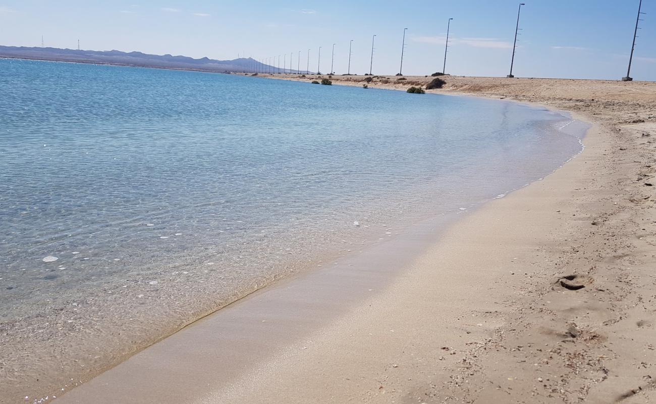 Sir Bani Yas beach'in fotoğrafı beyaz kum yüzey ile