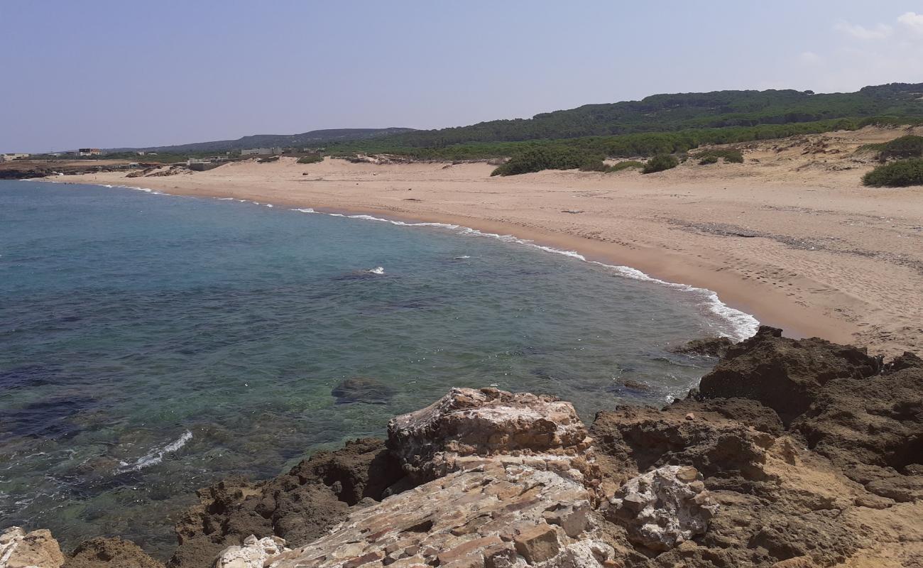 Plage Sidi Mechreg'in fotoğrafı kahverengi kum yüzey ile